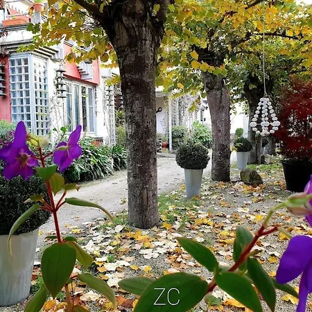 Zentralclub Apartamento Vatio- Jacuzzi Belmonte De Miranda Exterior photo